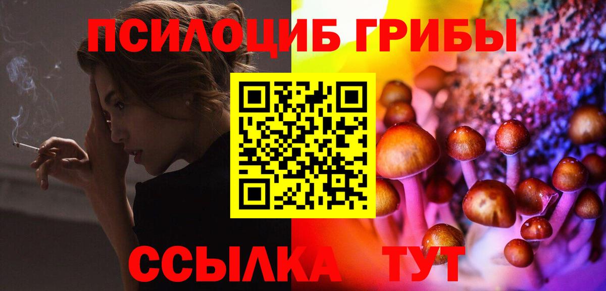 Шахты  Псилоцибиновые грибы Psilocybe  Вход с VPN 